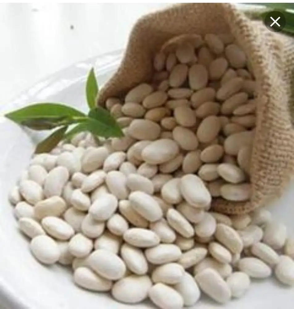 
White Beans 
