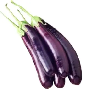 
Fresh Brinjal 