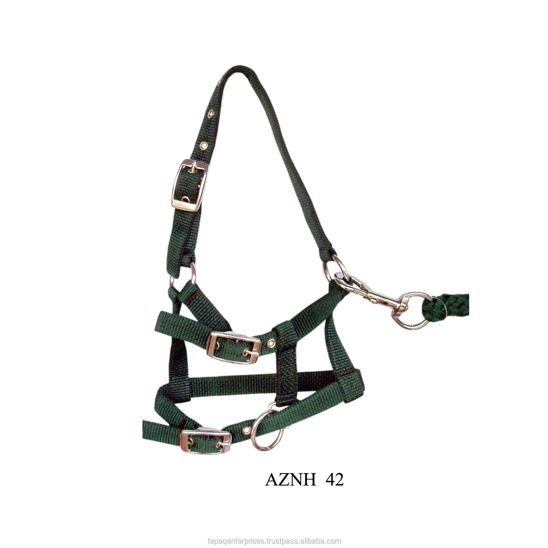 AZNH 42.jpg