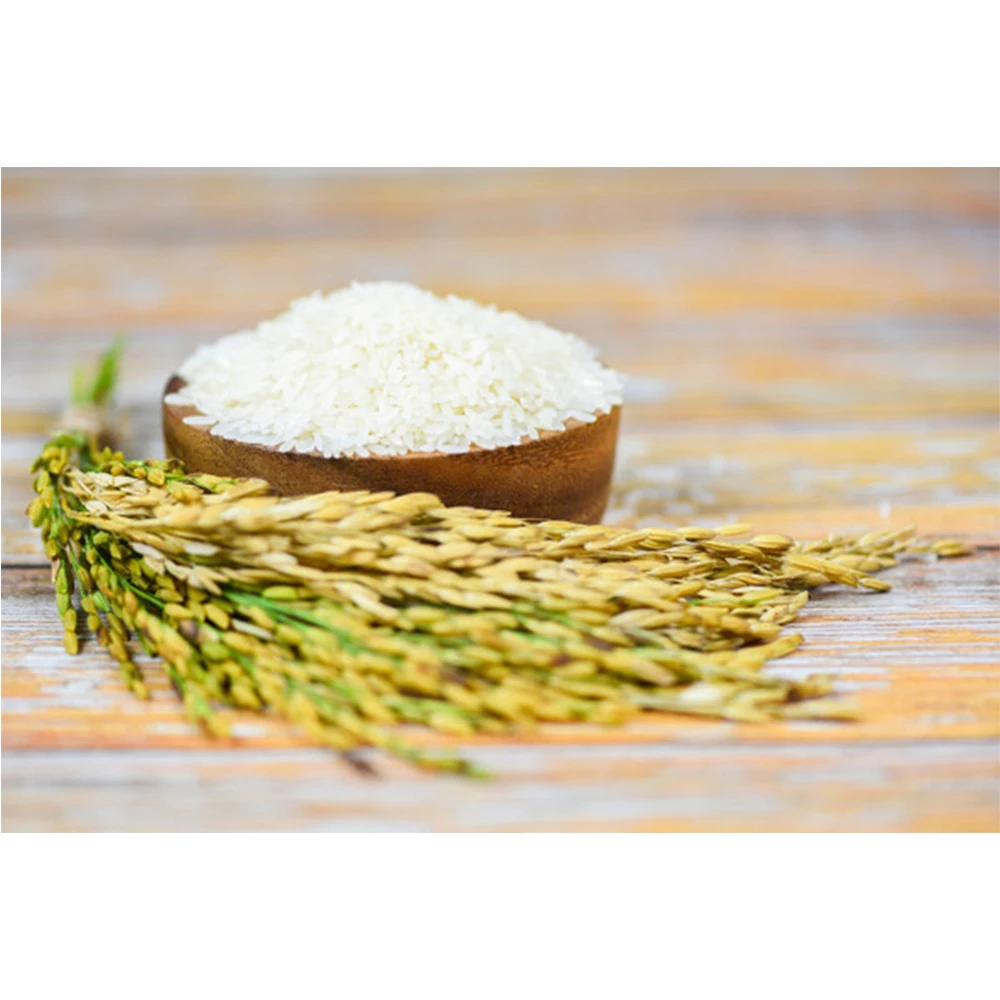 
JASMINE RICE Wholesale high quality 50kg pp bags 