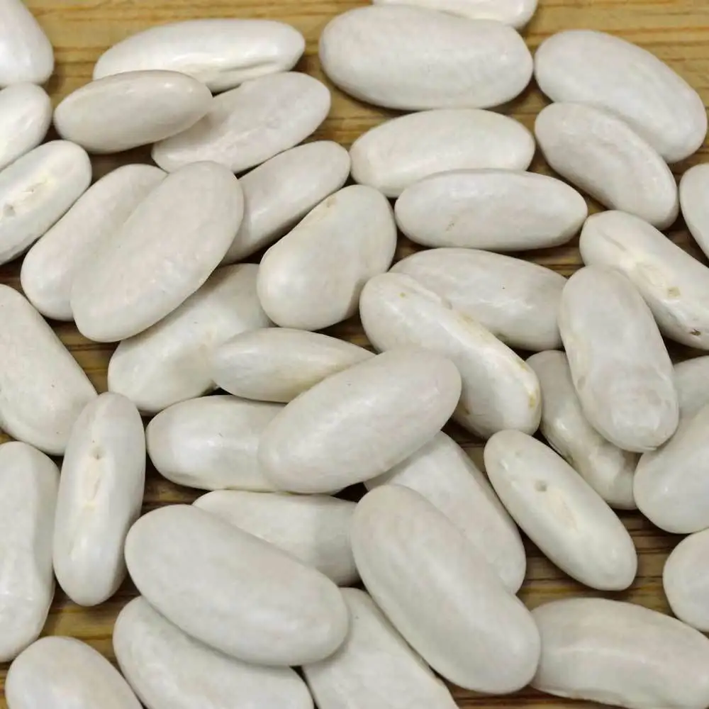 Factory bean