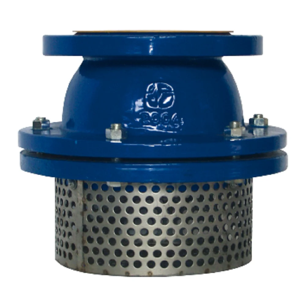 

Foot Valve With Competitive Prices