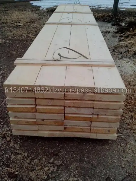 Birch timber.jpg