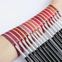 

12 Colors Lip Pencils Matte Waterproof Pigments Makeup Lip Liner