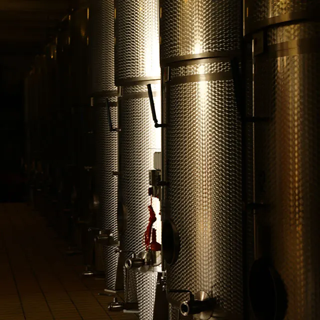 
Valdobbiadene Prosecco Brut Settegrammi - DOCG Superior Italian wine - white sparkling brut wine 