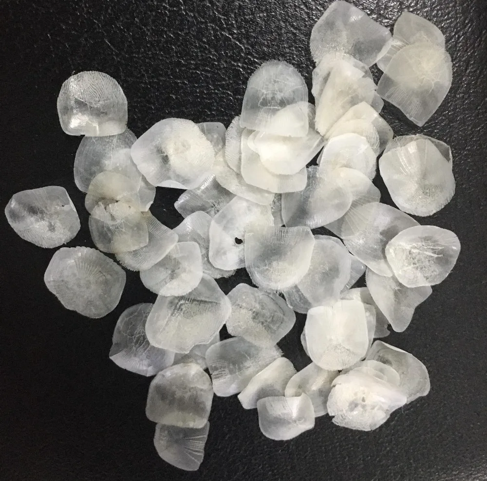 Fresh Fish Scales Red Black Tilapi In Canada Market /katie +84352310575