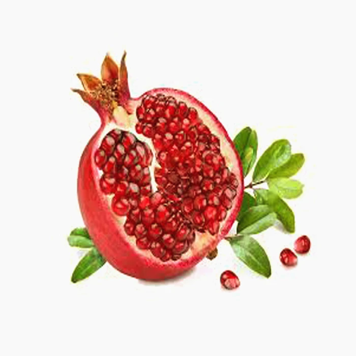 
Jumbo Bold Pomegranate 