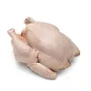 /product-detail/wholesale-price-premium-quality-halal-frozen-whole-chicken-and-parts-62017820686.html