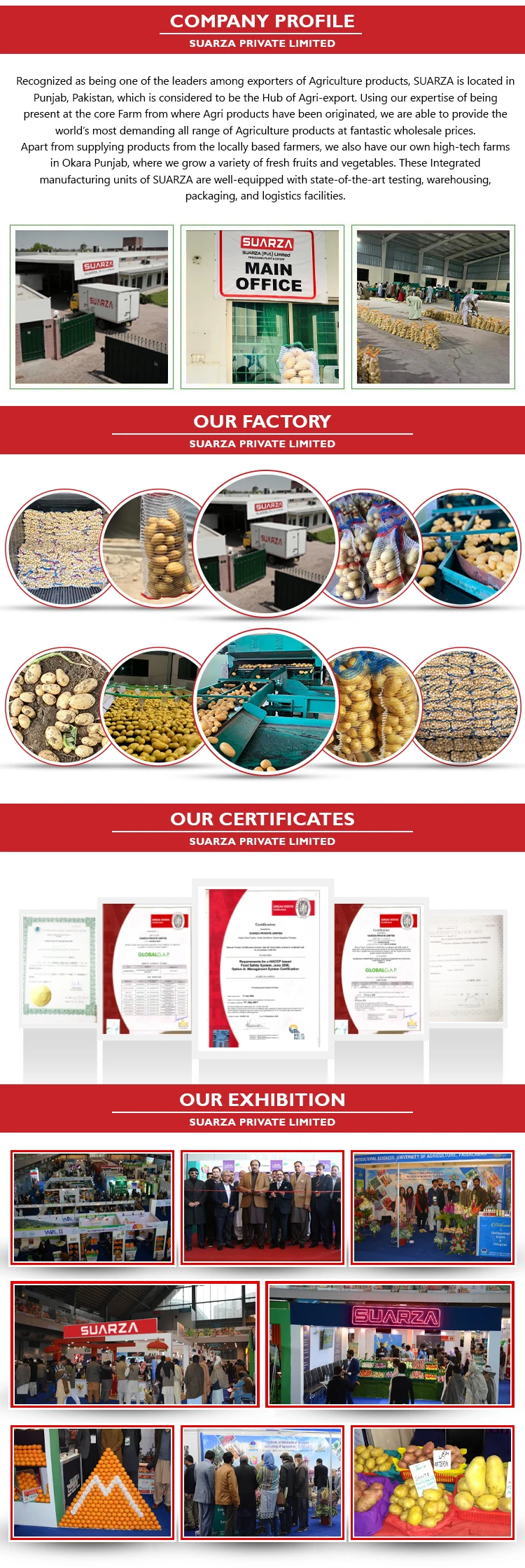 PROFILE PAGE (1).jpg