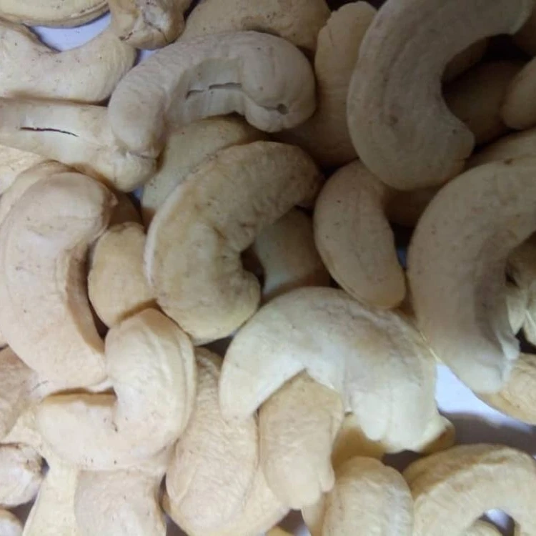 cashew kernel suppliers