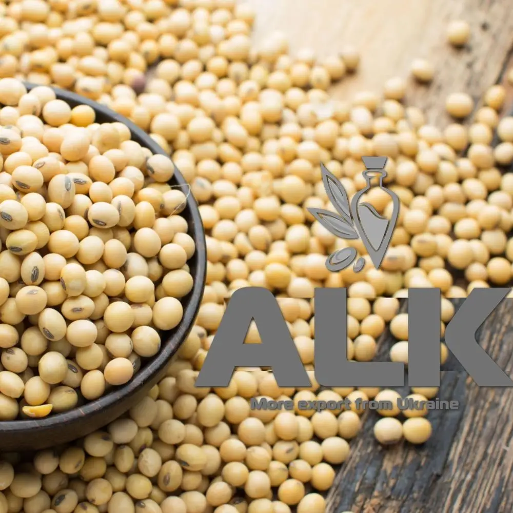 新作物高品质gmo/非转基因大豆食品和石油exprassing散装