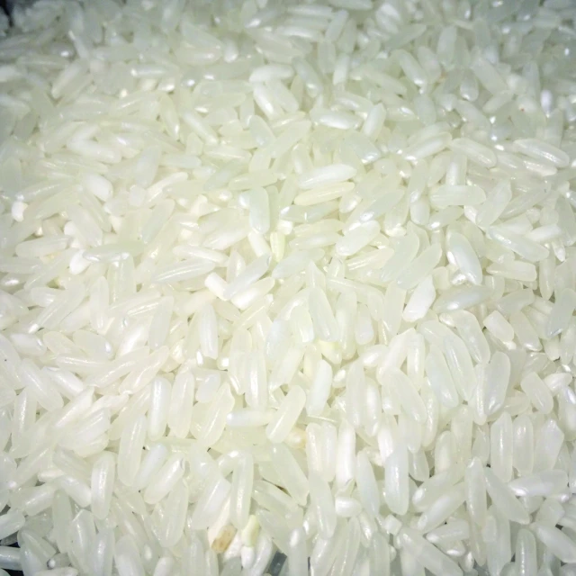 
Hard texture and white rice kind WHOLESALE RICE 