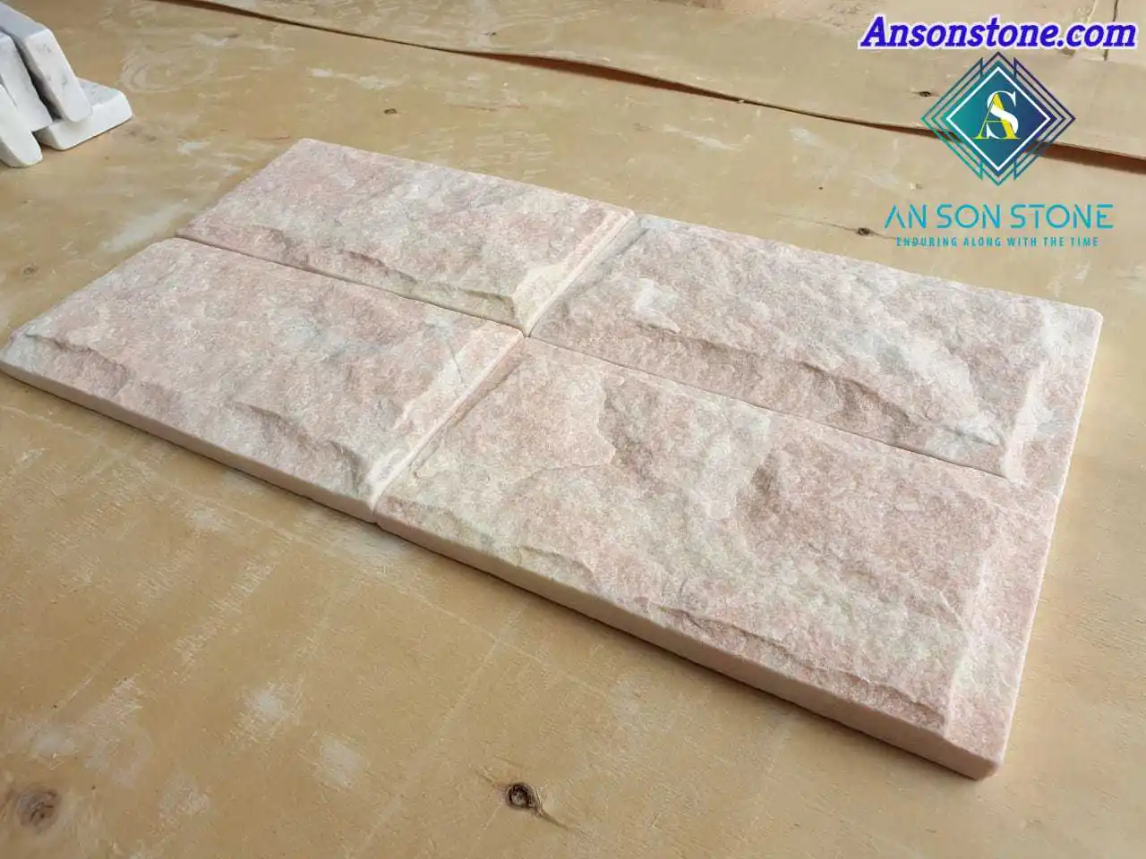 Mushroom Face 73.jpg