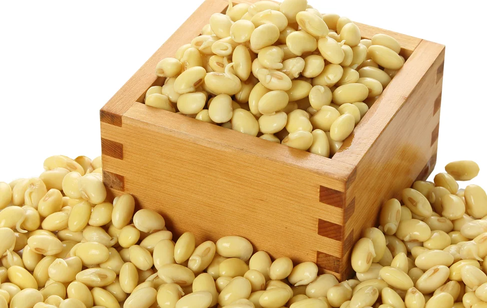 japanese fine soybean powder wholesale bulk