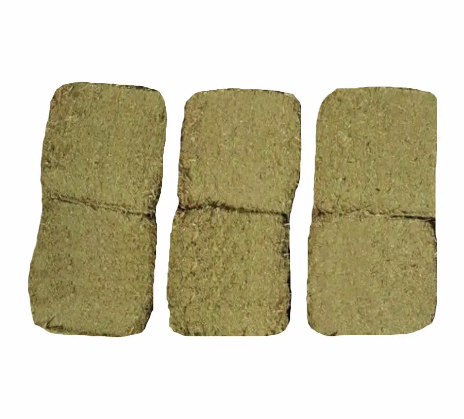 
Premium Quality Peanut Straw Hay For Animal Feed / Peanut Straw For Cattle Forage Best Straw Hay From Pakistan 