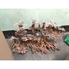 Driftwoods furnitures for wholesaler Whatsapp +84 963949178
