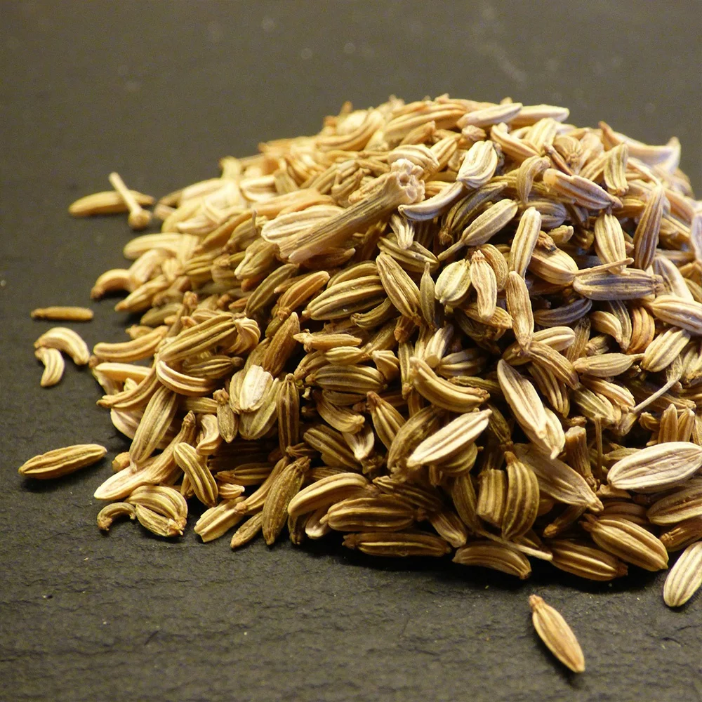 fennel seed powder bulk sale