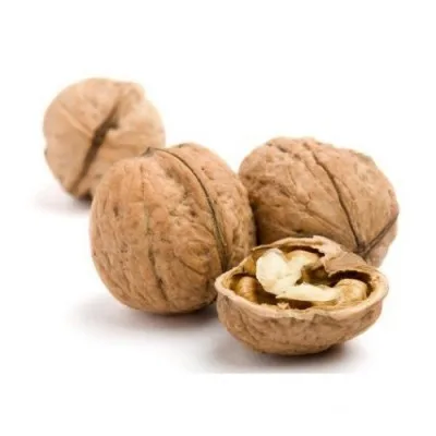 walnut-in-shell-500x500.jpg