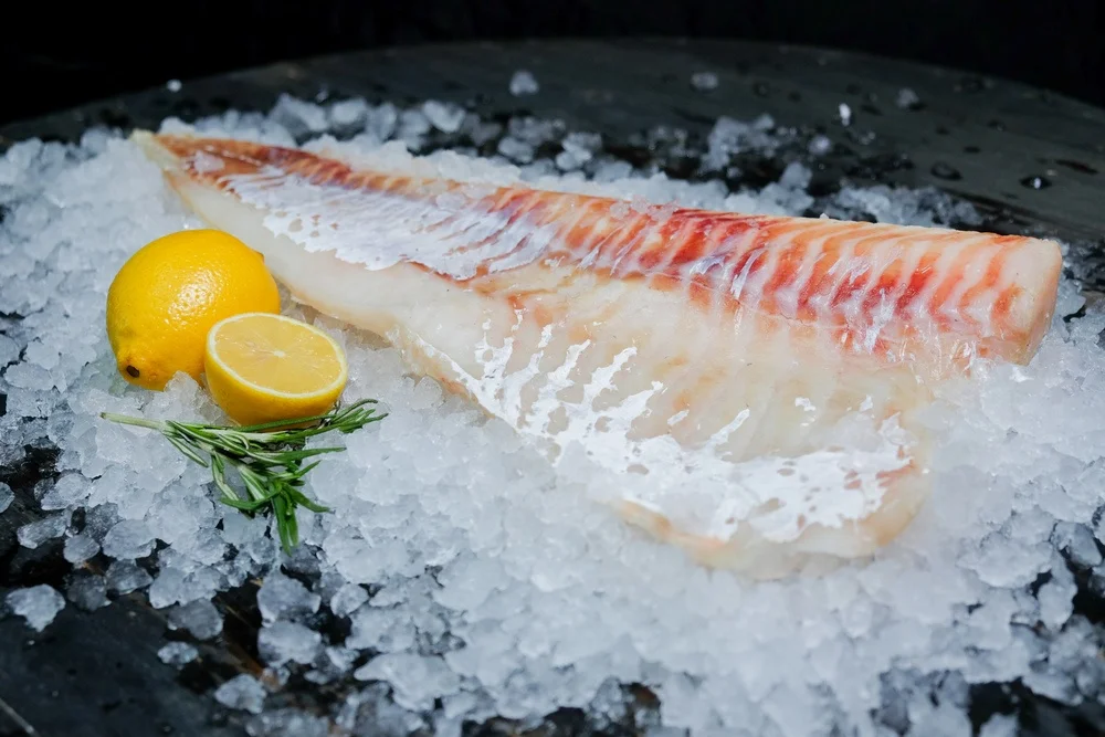 frozen cod fish fillets