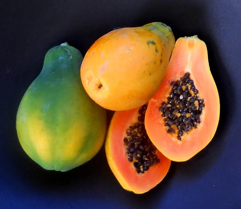 
Papaya Seeds 