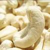 Cashew Nuts W180 | W210 | W240 | W320 | W450 | W2 | LWP | SWP | W4 | JG | SPLIT in wholesale