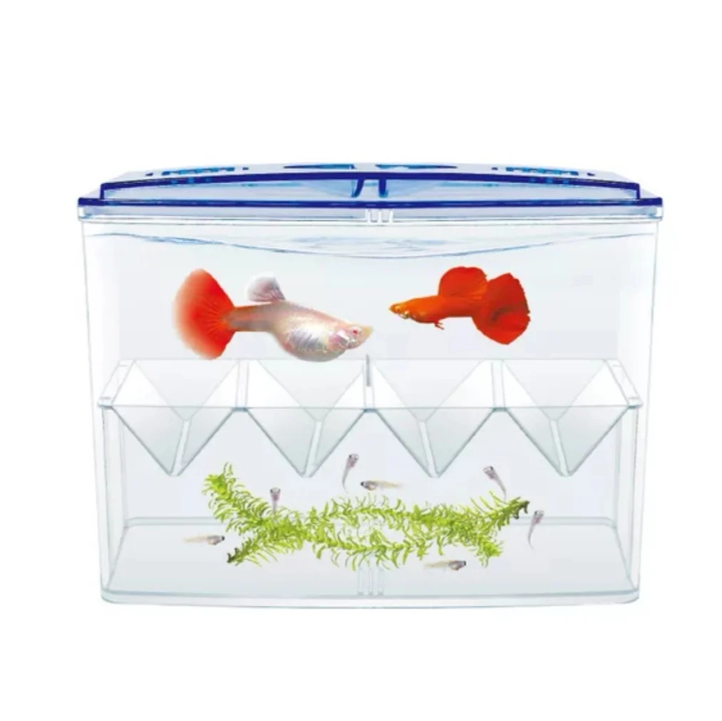 

Fish Breeding Box Aquarium Breeding Box, Breeder Box for Fish Tank, Double Hatching Incubator Isolation Box for Guppy Baby Fish