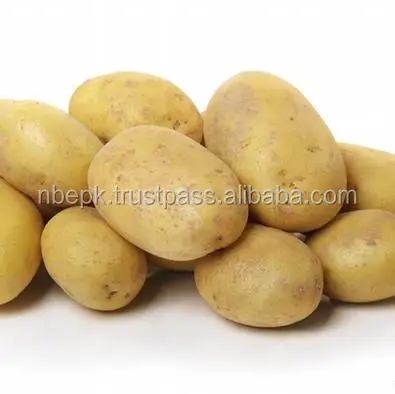 Potatos 03.jpg
