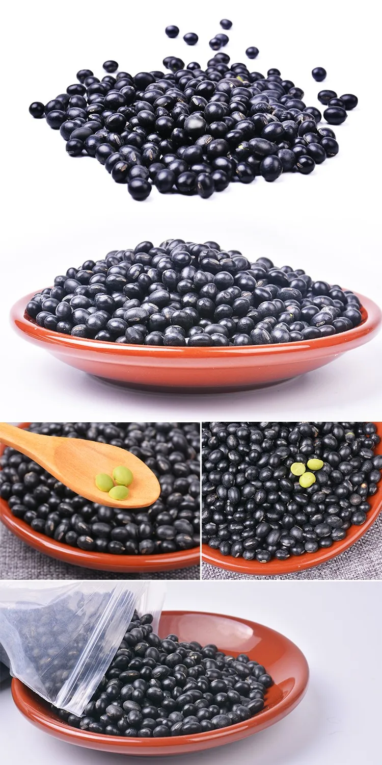 
High Quality Organic Black Kidney Beans 