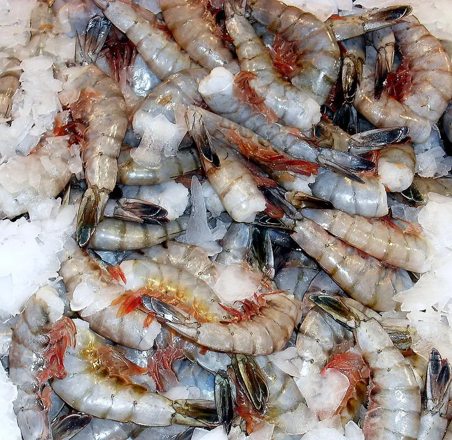 wholesale tasty good quality frozen tiger shrimp /frozen fresh