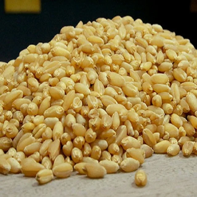 best bulgur wheat for shipping and very affordable