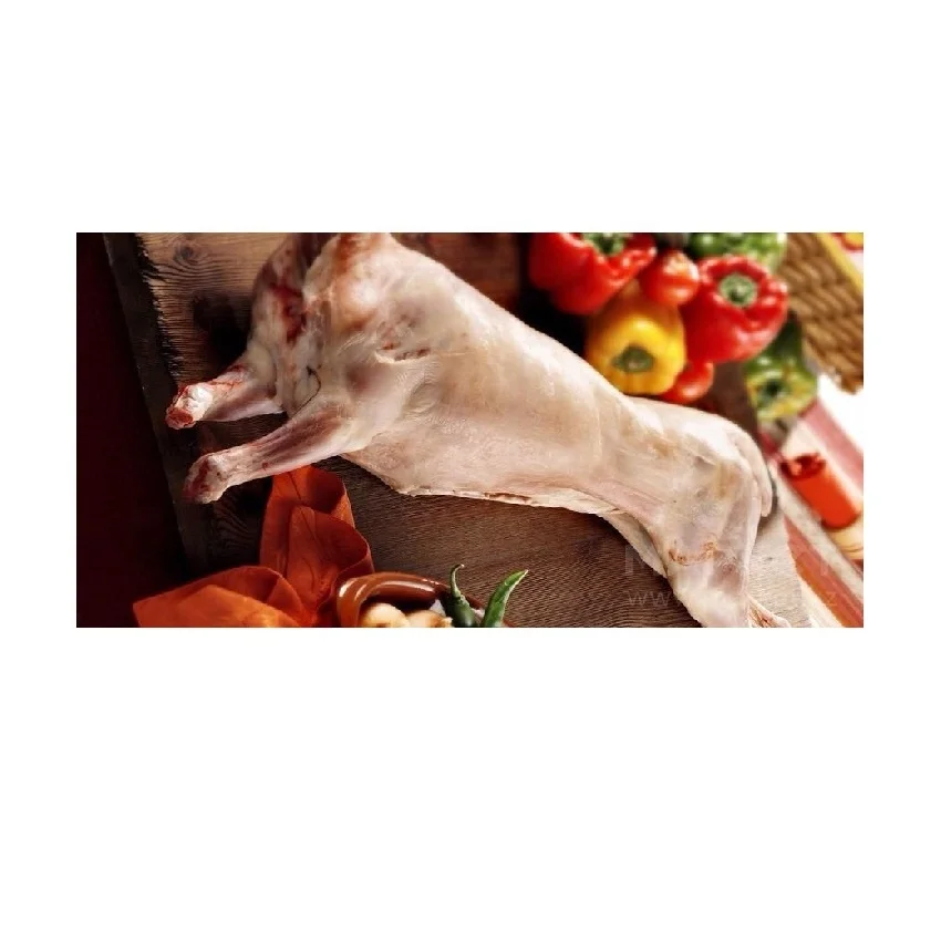 
Fresh 100% Grass Feed Lamb Meat from Kazakhstan 