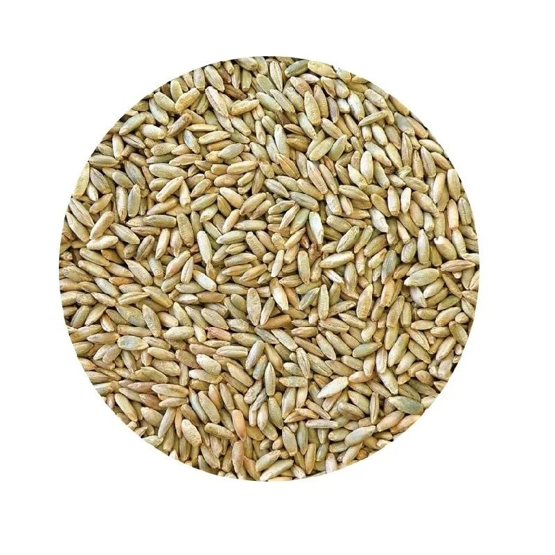 
Russian rye agricultural crop in big bags 