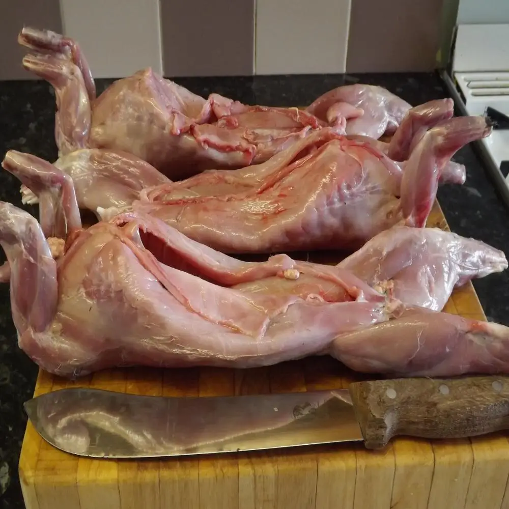 
Frozen rabbit carcass/Whole Rabbit Carcass 