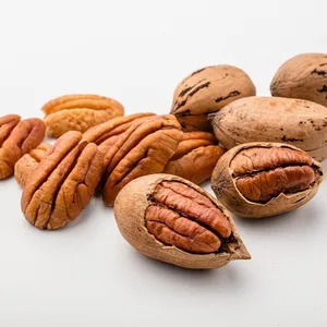 pecan nuts for sale / 100% premium quality pecan nuts in ukraine