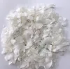COCONUT OIL/ COCONUT POWDER BEST PRICE (HOT LINE: 0084387264621)