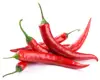 Fresh Hot Chilli from VietNam (whatsapp:+84907631944). E : Thuybuiexim(at)gmail(dot)com