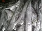 Excellent Quality Frozen Ribbon Fish