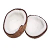 Semi Husked Matured Coconuts Trader and Exporter