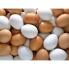 Durable Fresh Chicken eggs for Sale