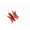 Top Selling Stemless Sannam Chili Dried Red Chilli