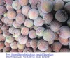 VIETNAM LYCHEE - FROZEN FRESH LYCHEE WITH SULPHUR FREE - IQF LICHEE WHOLE