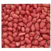 groundnut without shell