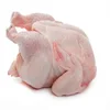 Top Quality Brazilian Quality Halal Frozen Whole Chicken and Parts, Gizzards , Thighs , Feet, Paws, /Affordable