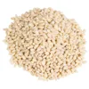 Buy Tiger Barley Seeds/Imperial Malt Malt Barley.