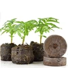 Coir Jiffy plugs/High Quality Coir pellets price/ Indoor Garden Peat Pellets Coco Coir Grow Pellet
