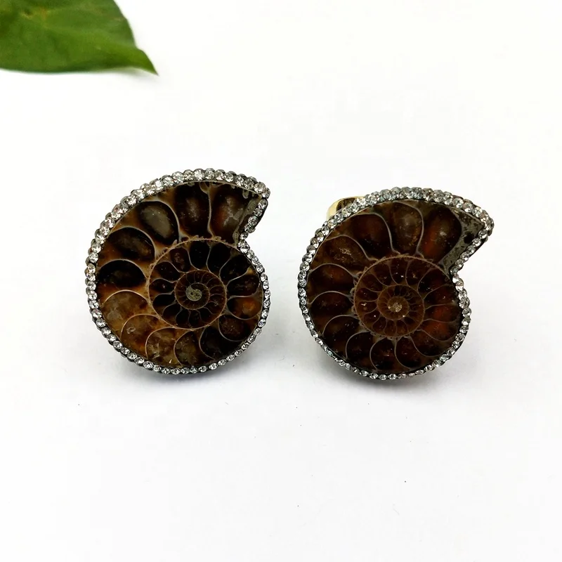 

Resizable Women Men Glossy Real Ammonite Conch Sea Shell Flat Natural Fossils Stone Classic Ring rhinestone Jewellery