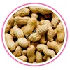Agri peanuts in Java