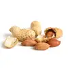 High Quality Natural Groundnuts