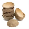 Vietnam Coconut Shell Material price/Bamboo bowl decorated coconut bowl/lacquer coconut bowl