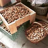 Top class Organic Walnut Kernel with Top Quality, Wholesale Walnuts without Shell for sale